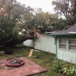 We can help with STORM DAMAGE!