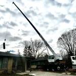 Dudley Tree Removal-10