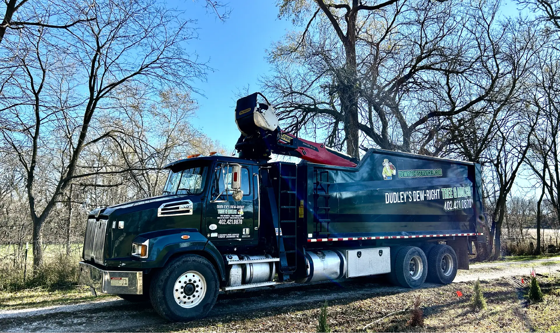 Dudley Tree Removal-12